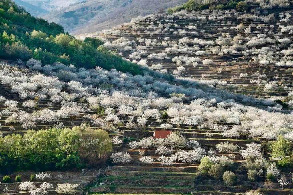 Apartamento Rural Se De Un Lugar El Torno  Exteriér fotografie
