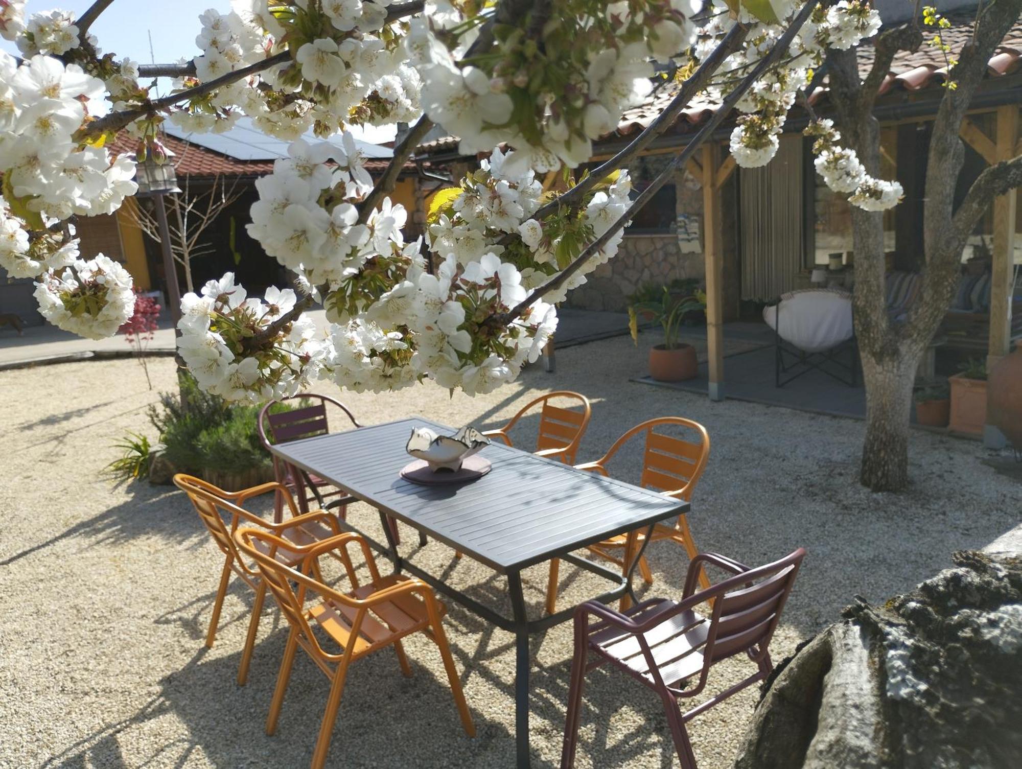 Apartamento Rural Se De Un Lugar El Torno  Exteriér fotografie